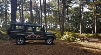 School-Project-6 Land rover in the wood